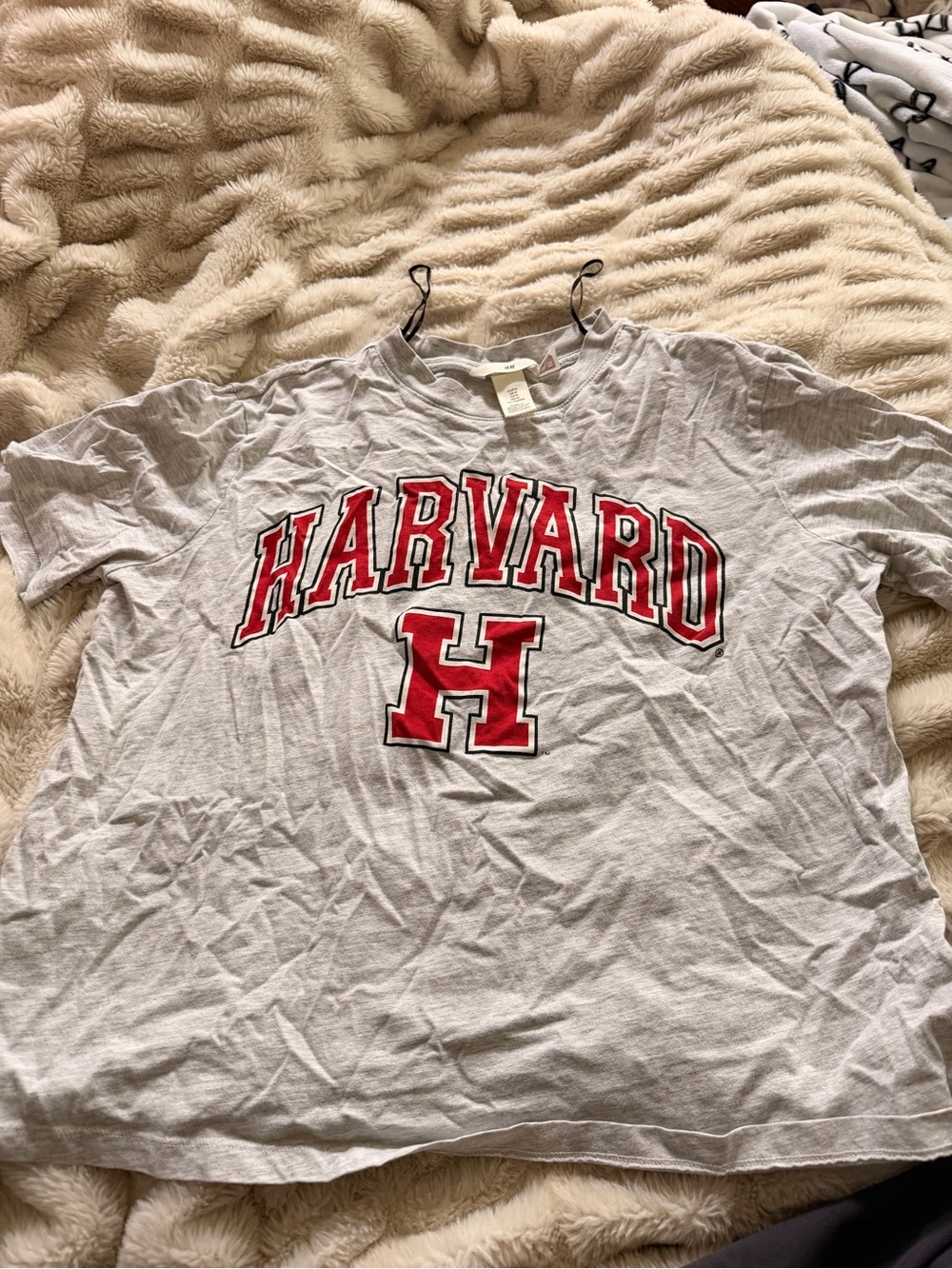 H&M Light Grey Graphic Tee with Black Detail